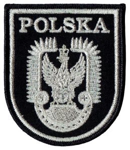 Orzeł Lotnictwa Polskiego oznaka Polskich Sił Powietrznych naszywka haft