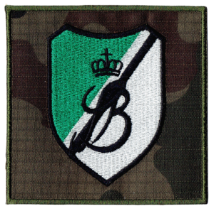 9 BRANIEWSKA BRYG. KAWALERII PANC. NASZYWKA 1041R