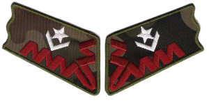 Patki ZS STRZELEC Młodszy Chorąży NASZYWKA 2095