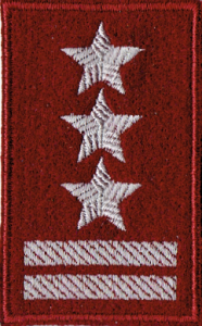 PUŁKOWNIK stopień beret bordowy NASZYWKA 2126