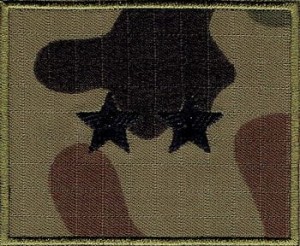 Stopień wz2010 US-22 St. Chorąży NASZYWKA 2168R