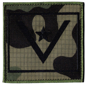 Dystynkcja WP na ramię wz2010 us-21 młodszy chorąży