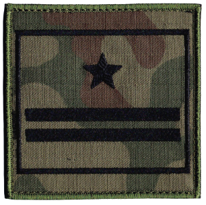MAJOR STOPIEŃ WZ2010 US-22 NASZYWKA 2673R