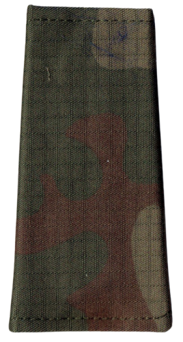 96e7d960393f2770657a214484e5ea62