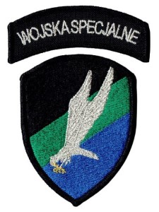WOJSKA SPECJALNE Wyjściowa NASZYWKA 2991
