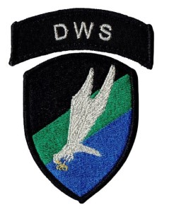 DOWÓDZTWO WOJSK SPECJALNYCH oznaka wyjściowa DWS naszywka haftowana