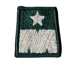 Generał brygady dystynkcja na beret zielony