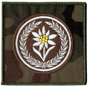 21 Brygada Strzelców Podhalańskich szarotka 2 Batalion SP 21BSP US-22