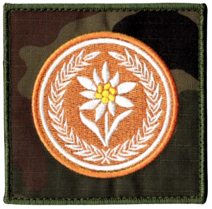 21 Brygada Strzelców Podhalańskich szarotka 4 Batalion SP 21BSP US-22