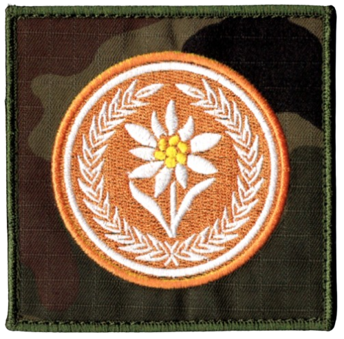 8a394fcf369d558766782e3c32c4ef48