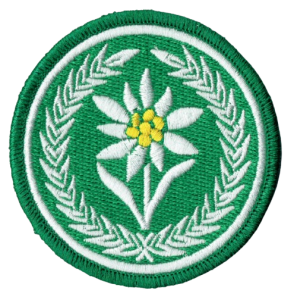 14 Dywizjon Artylerii Samobieżnej szarotka 21 BSP naszywka na mundur