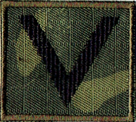 Straż Graniczna stopień SG sierżant naszywka na czapkę SG-14