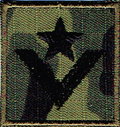 Straż Graniczna stopień SG młodszy chorąży naszywka na czapkę SG-14