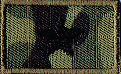 Straż Graniczna stopień SG chorąży naszywka na czapkę SG-14