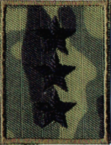 Straż Graniczna stopień SG chorąży sztabowy naszywka na czapkę SG-14