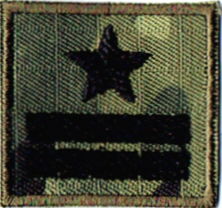 Straż Graniczna stopień SG major naszywka na czapkę SG-14