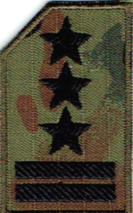 Straż Graniczna stopień SG pułkownik naszywka na czapkę SG-14