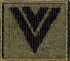 Straż Graniczna stopień SG starszy sierżant naszywka na czapkę SG-14