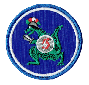 5 Pułk Dowodzenia oznaka rozpoznawcza naszywka wyjściowa