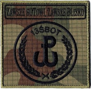 13ŚBOT obrona terytorialna oznaka rozpoznawcza WOT naszywka polowa 98x98mm