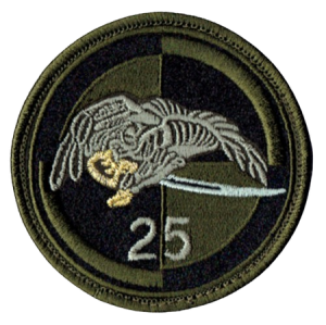 25 Brygada Kawalerii Powietrznej oznaka pamiątkowa 25BKP naszywka polowa