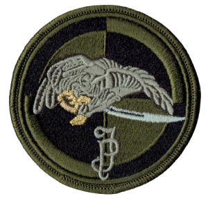 1 Batalion Kawalerii Powietrznej 1 DYWIZJONU SZWOLEŻERÓW MJP oznaka polowa