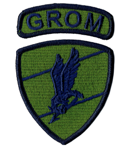 JW 2305 GROM oznaka rozpoznawcza naszywka polowa rzep