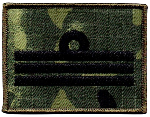 2e7091430ec046d45c816fbd15a7961a.png