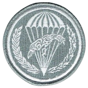 6 Brygada Powietrznodesantowa 6 Batalion Logistyczny 6BDSz naszywka na rzep