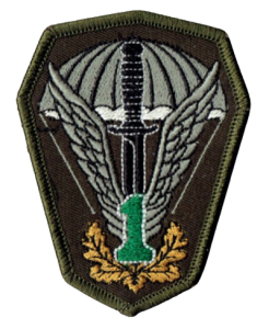 1 Pułk Specjalny Komandosów Lubliniec oznaka naszywka 1PSK 1 zielona rzep