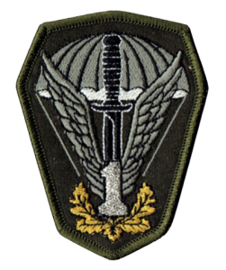 1 Pułk Specjalny Komandosów Lubliniec oznaka naszywka 1PSK 1 srebrna rzep