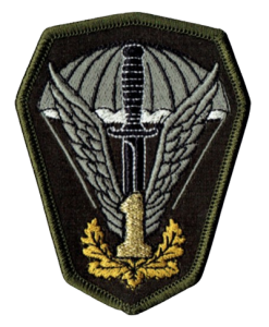 1 Pułk Specjalny Komandosów Lubliniec oznaka naszywka 1PSK 1 złota rzep