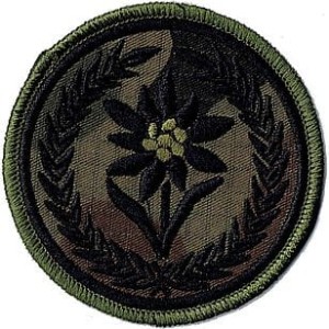 21 Brygada Strzelców Podhalańskich oznaka szarotka 21BSP naszywka US-22
