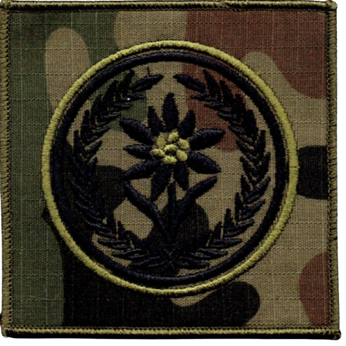 025a07a1f55a7527a7a2f275c5f62ad1.png