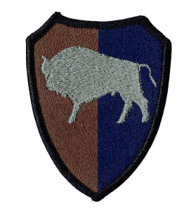 10 Brygada Logistyczna oznaka polowa 10BL Opole naszywka haft rzep