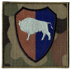 10 Brygada Logistyczna Opole oznaka polowa US-22 94x94mm 10BL naszywka rzep