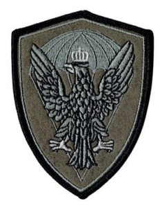 WOJSKA SPECJALNE DESANT oznaka rozpoznawcza naszywka polowa