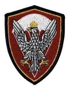 WOJSKA SPECJALNE DESANT oznaka rozpoznawcza naszywka wyjściowa