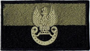 Polska flaga Wojska Specjalne orzełek WS naszywka polowa khaki-czarna rzep