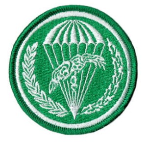 6 Brygada Powietrznodesantowa oznaka rozpoznawcza 6BDSz naszywka rzep