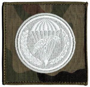 6 Batalion Logistyczny oznaka rozpoznawcza 6BPD naszywka US-22 94x94mm rzep