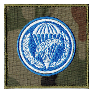 6 Batalion Powietrznodesantowy Gliwice oznaka 6BPD naszywka US-22 rzep