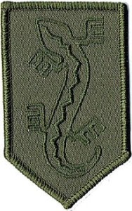 Organizacja Wojskowa ZWIĄZEK JASZCZURCZY OW ZJ NSZ-ZJ naszywka oliv green