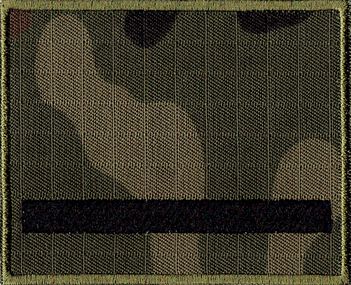 104885892.jpg