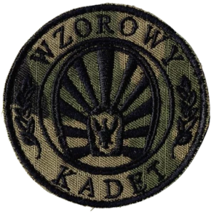 Wzorowy Kadet oznaka Klas Mundurowych naszywka KM US-22 rzep