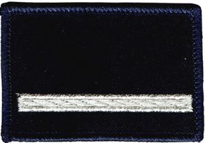 b141cdec6456a08a36efeb27fdfbac93.png