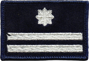 Policja dystynkcja stopień podinspektor naszywka 6x4 cm rzep