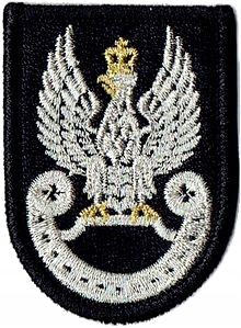 Orzełek wojskowy Wojsk Specjalnych beret czarny naszywka haftowana 45x62 mm