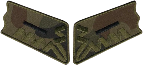 77782270.png